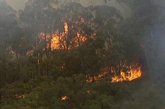 Australia w ogniu.
