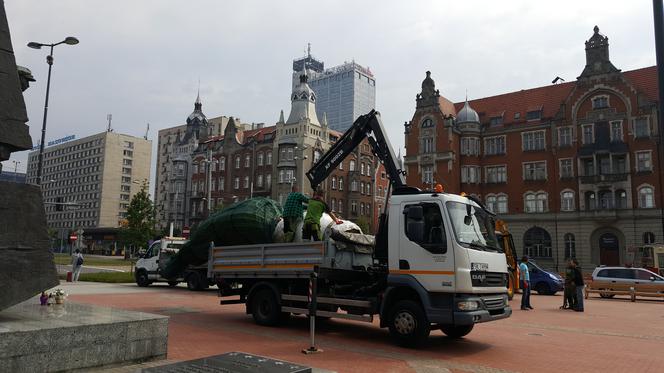 Palmy wróciły na rynek w Katowicach