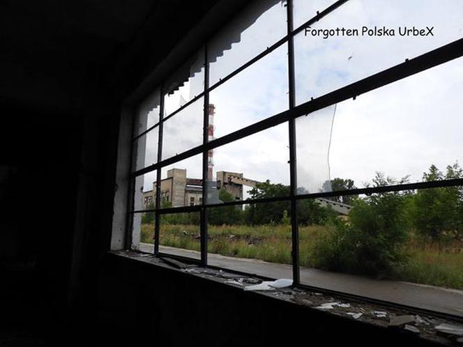 Opuszczony zakład KZPP w Koniecpolu. Stąd płyty pilśniowe wyjeżdżały na cały świat! [ZDJĘCIA]