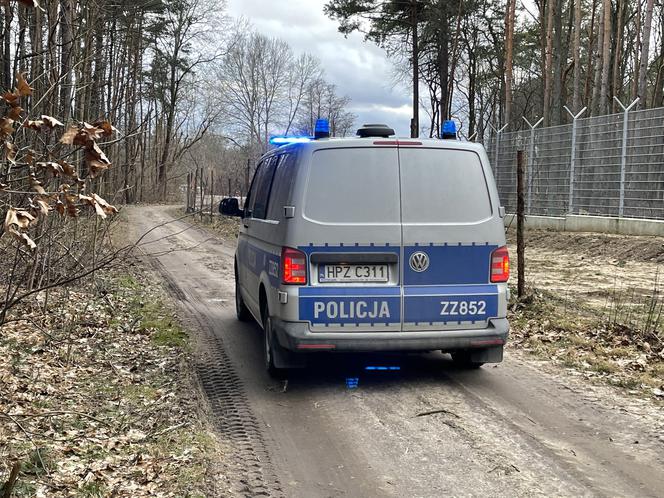 Drzewo runęło na mężczyznę w Emowie. Zginął na miejscu