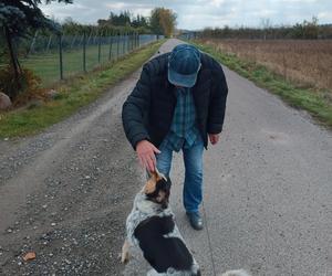 Gacek znalazł się w pułapce. Uratowała go suczka Roksana