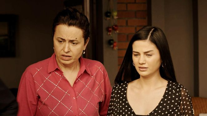 Miłość i nadzieja, odcinek 301. Cavidan, Bahar