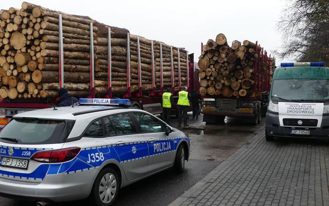 Kontrola ciężarówek przewożących drewno