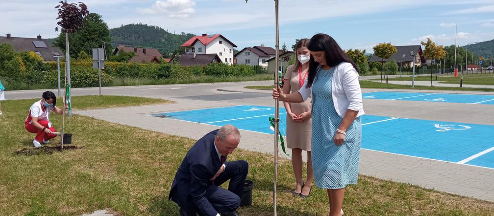 sadzenie klonów przy Szpitalu Żywiec 