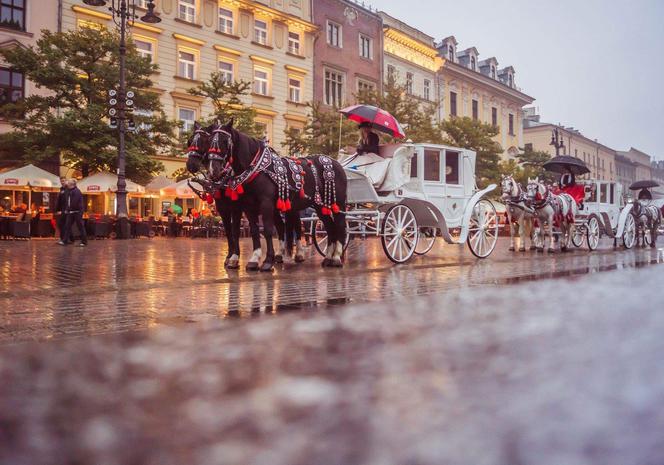 Rynek Główny w Krakowie [ZDJĘCIE DNIA]