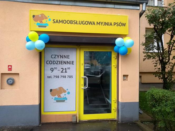 Samoobsługowa myjnia psów we Wrocławiu