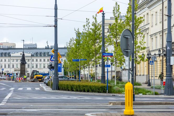 Sadzenie zieleni na placu Bankowym w maju 2025 r.