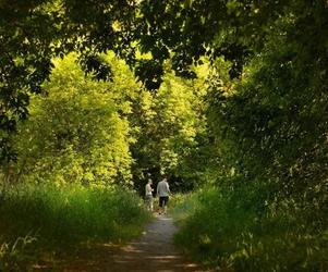 Gigantyczny spór o Park Naturalny Wrzosowisko. Ogromne emocje podczas sesji Rady Miasta Torunia