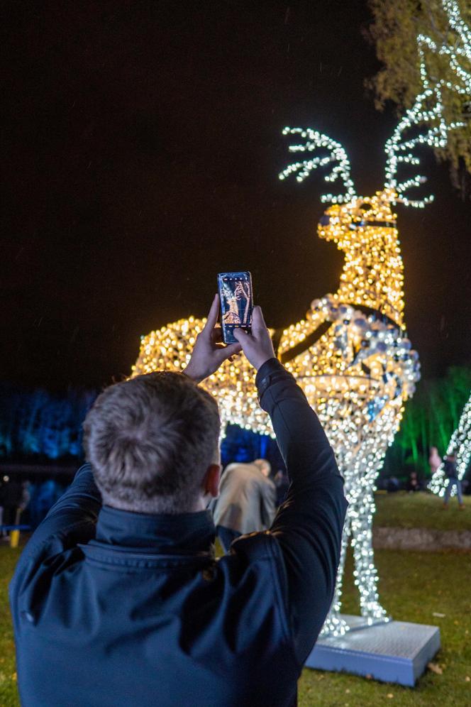 Zimowy Festiwal Figur Lodowych W Parku Miliona Świateł w Zabrzu 