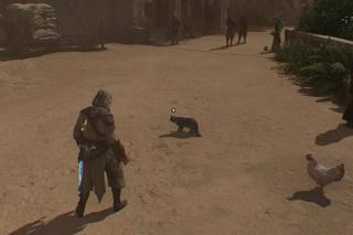 Mistrz Miausasynów. Koty w Assassin's Creed Mirage są wyjątkowe