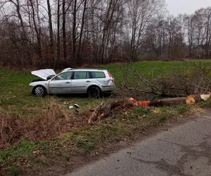 Tragiczny wypadek w Zgierzu. 40-letni kierowca zginął po uderzeniu w drzewo