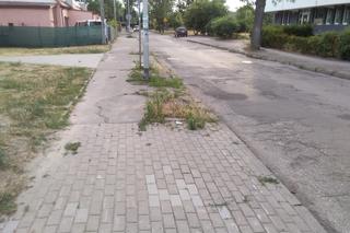 Aleja Sportowców w Grudziądzu do remontu