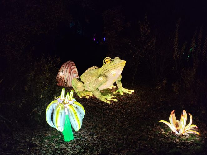 Park iluminacji w Lublinie