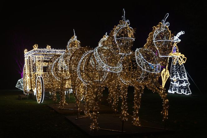  „Laboratorium Światła” w Lumina Parku w Lublinie w sezonie 2024/2025