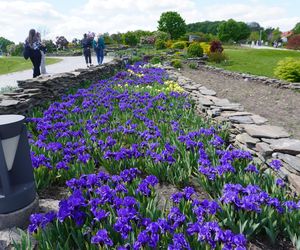 Ogród Botaniczny w Kielcach