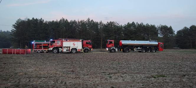 Ogromny pożar pod Grójcem! Spłonęło 80 hektarów lasu