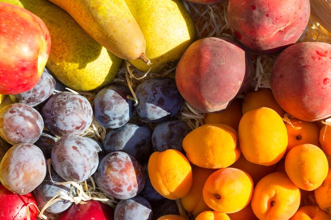 Owoce w służbie mózgu: 5 owoców, które wspomagają pracę twojego mózgu