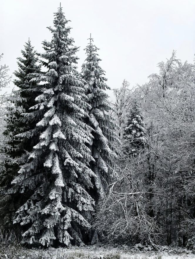 Pierwszy śnieg w Bieszczadach