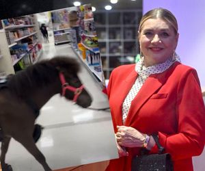 Małgorzata Ostrowska-Królikowska spotkała konia w supermarkecie. Wszystko nagrała!
