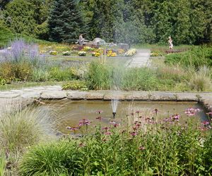 Ogród Botaniczny w Poznaniu 