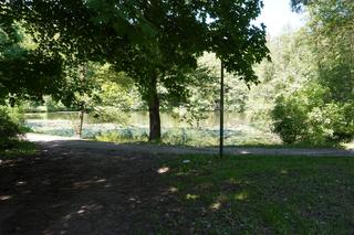 Tajemniczy park na Jakubowie, o którym nie każdy słyszał. Skrywa mroczny sekret [ZDJĘCIA]