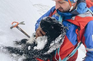 Usłyszeli szczekanie pod szczytem Babiej Góry. Wrócili sprawdzić 
