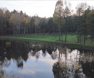 Idealne miejsce na jesienny spacer w Śląskiem - Kamień 