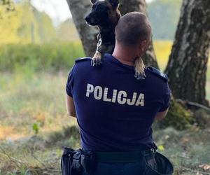 Trawka - nowy pies suwalskiej Policji