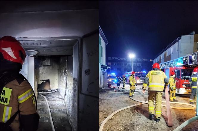 Pożar w Toruniu. Akcja strażaków