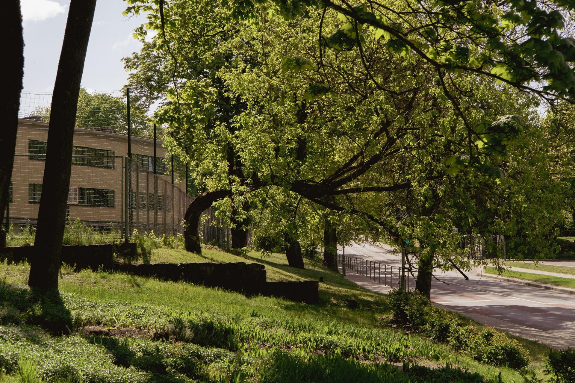 Szkoła projektu Romualda Gutta w Wilnie