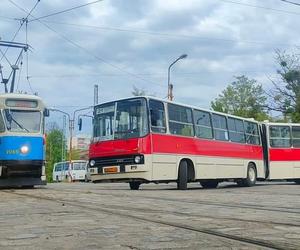 Nocna przejażdżka zabytkowymi autobusami. Klub Sympatyków Transportu Miejskiego zaprasza