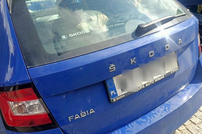 Zostawiła psa w nagrzanym aucie, a sama poszła do Morskiego Oka! 