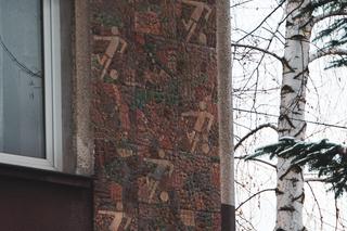 Uratowane mozaiki z Wojnicza - zdjęcia. Czekają na nowe miejsce