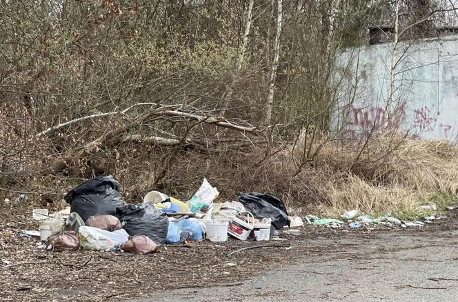 Składowisko śmieci w Mysłowicach przy ul. Miarki