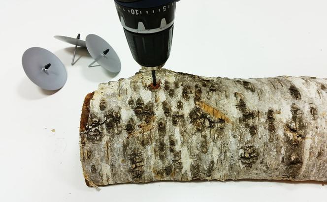 Naturalny stroik na stół z brzozy