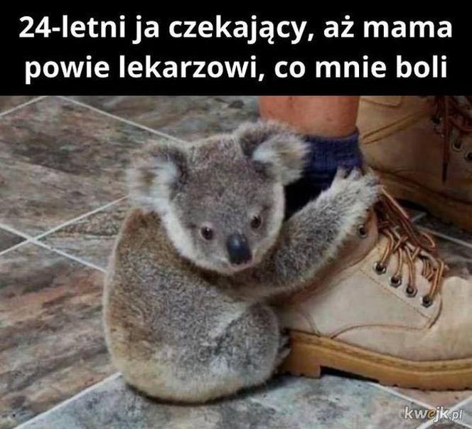  Memy na Dzień Matki 2022 [GALERIA]