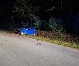 Wypadek w Podebłociu. Auto zderzyło się z łosiem