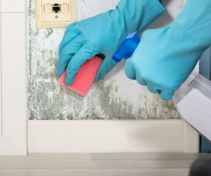 Wymieszaj z wodą utlenioną i spryskaj pleśń na ścianie. Wyżre ją w 20 minut. Sposób na pleśń na ścianie