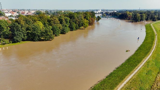 Powódź w Opolu. Stan Odry w środę, 18.09.2024 