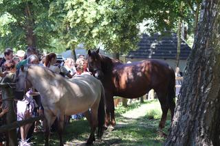 Jarmark koński w lubelskim skansenie przyciągnął tłumy
