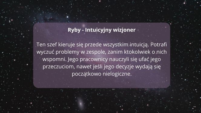 Zodiakalne style zarządzania: Kiedy gwiazdy wkraczają do biura