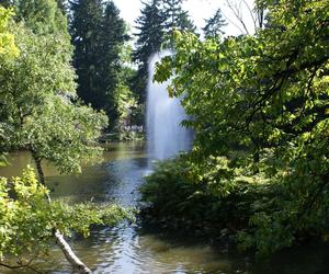 Park Szwedzki w Szczawnie- Zdroju 