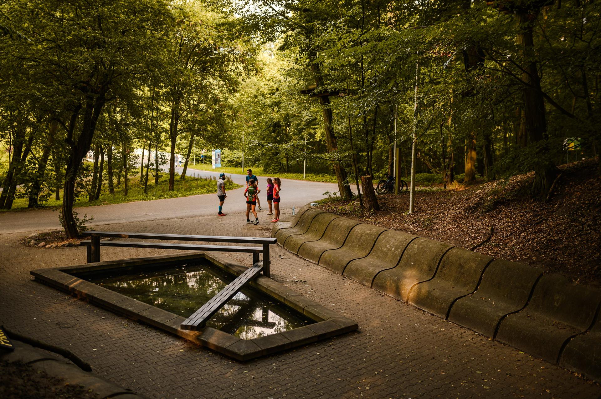 Warsztaty Mood for wood 2023 w Poznaniu – projekt „DIALOG” grupy pod kierunkiem architekta Miroslav Malý z czeskiej pracowni Malý Chmel