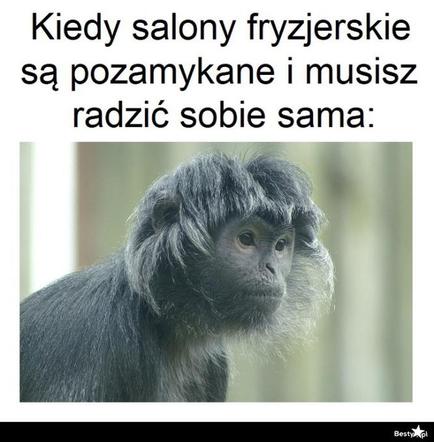 Fryzjerzy kontra koronawirus. Te memy bawią do łez