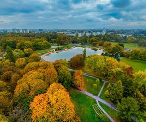 Nowe oblicze parku na Polu Mokotowskim. Nowe ławki, brak betonu i hotele dla owadów