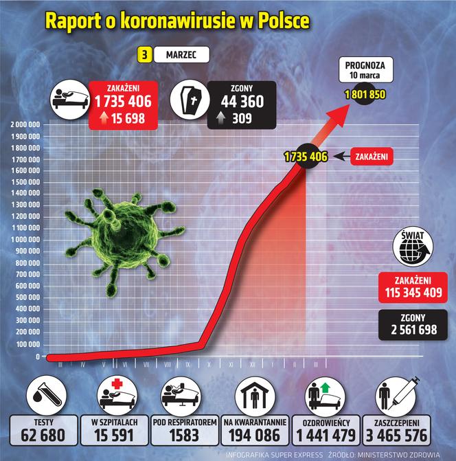 koronawirus w Polsce wykresy wirus Polska 1 3 3 2021