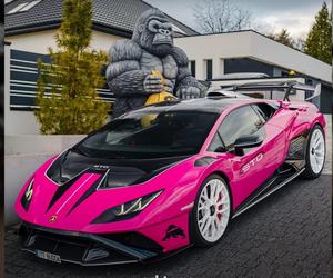 Lamborghini Buddy