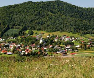 W Małopolsce powstaną nowe rezerwaty przyrody. Setki hektarów zieleni pod ochroną! [GALERIA]