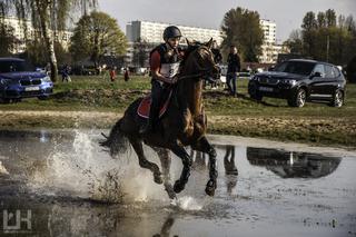 Tak wyglądały ostatnie zawody na Hipodromie