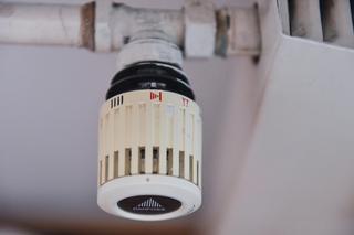 Dlaczego mieszkańcy Torunia zmierzą się z wyższymi czynszami? Wszystko przez ciepło